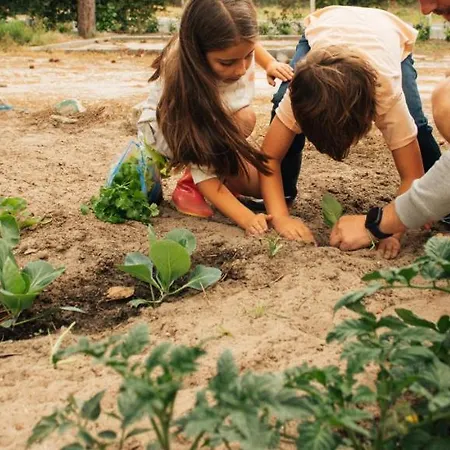 Ohai Outdoor 纳扎雷